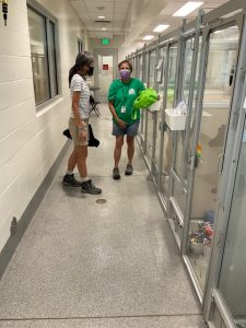 Two masked individuals, one WASART volunteer and one shelter worker stand in front of dog enclosures at Seattle Humane.