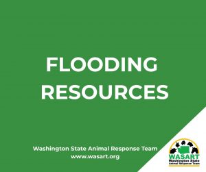 Flooding Resources
