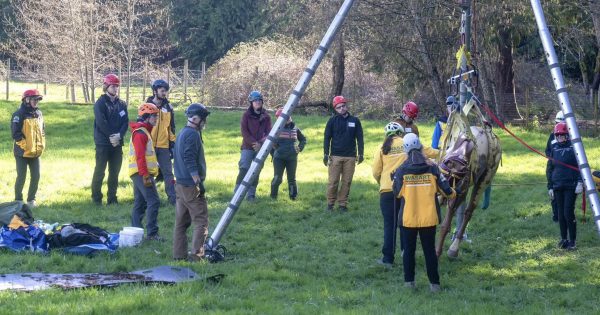 Trainees gather at the tripod during Sprint 2026 IFO training.