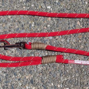 Dog Leash