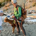 Beau, back on the ground