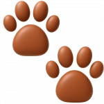 Paws 3D