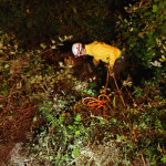 Valon, headed down to Chloe.