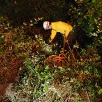 Valon, headed down to Chloe pauses to clear blackberry brambles.
