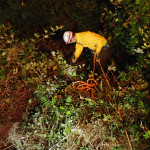 Valon, headed down to Chloe pauses to clear blackberry brambles.