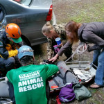 The team unstraps Chloe.