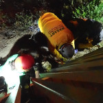 Chloe at the top gets checked out before her harness is removed.