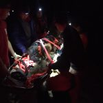 Wiley, strapped into the litter, is ready to go down the trail. German shepherd strapped in a litter in the dark