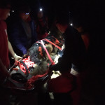 Wiley, strapped into the litter, is ready to go down the trail. German shepherd strapped in a litter in the dark