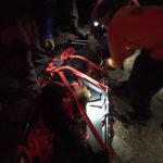 Wiley, strapped into the litter, is ready to go down the trail. German shepherd strapped in a litter in the dark