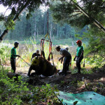 A horse stuck in the mud is rescued by the technical animal rescue team.