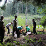 A horse stuck in the mud is rescued by the technical animal rescue team.