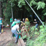 A horse stuck in the mud is rescued by the technical animal rescue team.