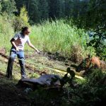 A horse stuck in the mud is rescued by the technical animal rescue team.