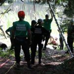 A horse stuck in the mud is rescued by the technical animal rescue team.