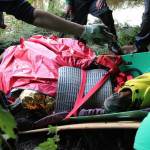 A horse stuck in the mud is rescued by the technical animal rescue team.