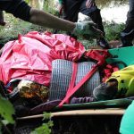 A horse stuck in the mud is rescued by the technical animal rescue team.