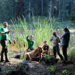 A horse stuck in the mud is rescued by the technical animal rescue team.