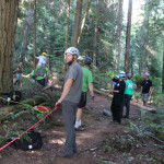 A horse stuck in the mud is rescued by the technical animal rescue team.