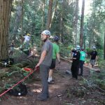 A horse stuck in the mud is rescued by the technical animal rescue team.