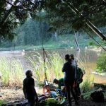 A horse stuck in the mud is rescued by the technical animal rescue team.