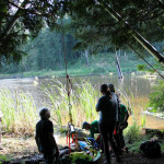 A horse stuck in the mud is rescued by the technical animal rescue team.