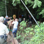 A horse stuck in the mud is rescued by the technical animal rescue team.