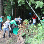 A horse stuck in the mud is rescued by the technical animal rescue team.
