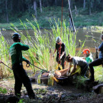 A horse stuck in the mud is rescued by the technical animal rescue team.