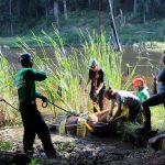 A horse stuck in the mud is rescued by the technical animal rescue team.