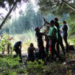 A horse stuck in the mud is rescued by the technical animal rescue team.