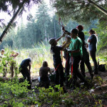 A horse stuck in the mud is rescued by the technical animal rescue team.