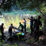 A horse stuck in the mud is rescued by the technical animal rescue team.