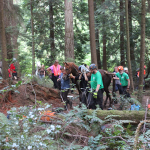 A horse stuck in the mud is rescued by the technical animal rescue team.