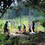 A horse stuck in the mud is rescued by the technical animal rescue team.