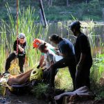 A horse stuck in the mud is rescued by the technical animal rescue team.