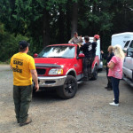 A horse stuck in the mud is rescued by the technical animal rescue team.