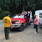 A horse stuck in the mud is rescued by the technical animal rescue team.