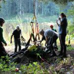 A horse stuck in the mud is rescued by the technical animal rescue team.