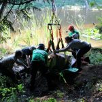 A horse stuck in the mud is rescued by the technical animal rescue team.
