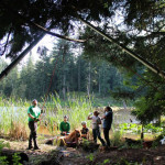 A horse stuck in the mud is rescued by the technical animal rescue team.