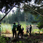 A horse stuck in the mud is rescued by the technical animal rescue team.