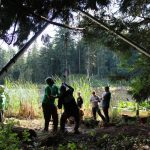 A horse stuck in the mud is rescued by the technical animal rescue team.