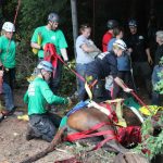 A horse stuck in the mud is rescued by the technical animal rescue team.