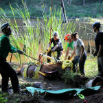 A horse stuck in the mud is rescued by the technical animal rescue team.
