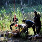 A horse stuck in the mud is rescued by the technical animal rescue team.