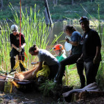 A horse stuck in the mud is rescued by the technical animal rescue team.