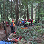 A horse stuck in the mud is rescued by the technical animal rescue team.