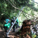 A horse stuck in the mud is rescued by the technical animal rescue team.