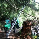 A horse stuck in the mud is rescued by the technical animal rescue team.
